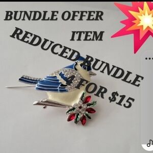 BUNDLE OFFER ITEM 4 STARRED ITEMS ONLY$15...Blue Jay Brooch
